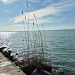 Aloha Terrace -