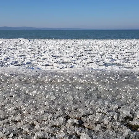 Aloha Terrace - שיופוק